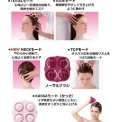 Panasonic 頭皮エステ　サロンタッチの画像