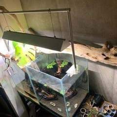 水槽セットの画像