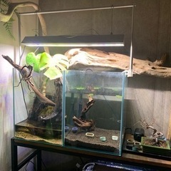 水槽セットの画像