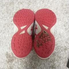 少年野球　トレーニングシューズ　22cmの画像