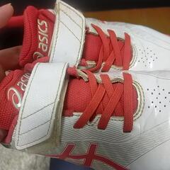 少年野球　トレーニングシューズ　22cmの画像