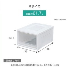 【美品】アイリスオーヤマ　収納ケース　Mサイズ　2台の画像