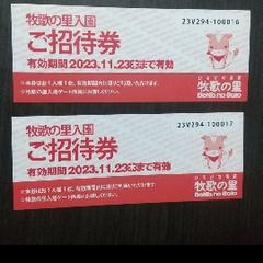 牧歌の里 入園券３枚