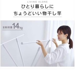 物干し竿　ホワイトの画像