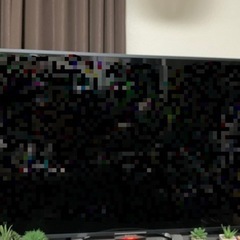 BRAVIA 55インチ  リモコン、カード付き