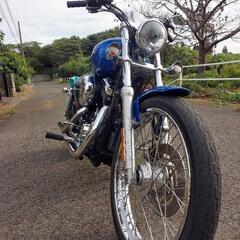 ハーレーXL1200cスポーツスターカスタム　インジェクション車　車検令和6年4月　2007年式　ガレージ保管雨天未使用車　走行距離8000㎞   ※75万⇒70万に値下げしましたの画像