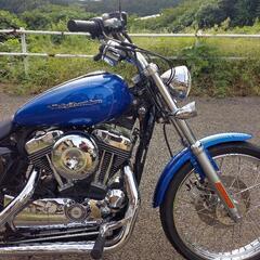 ハーレーXL1200cスポーツスターカスタム　インジェクション車　車検令和6年4月　2007年式　ガレージ保管雨天未使用車　走行距離8000㎞   ※75万⇒70万に値下げしましたの画像