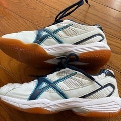 vision quest バレーボールシューズ　22.5cmの画像