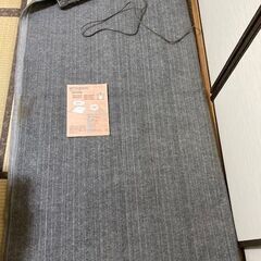 （取引終了）三菱ホットカーペット（電気カーペット） 2畳用の画像