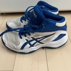 ASICS アシックス バッシュ 21.0cmの画像