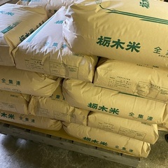 令和４年度産🌾古米