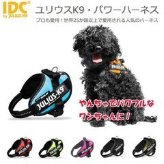 ドッグハーネス/ユリウスк9プレート2枚（新品）の画像
