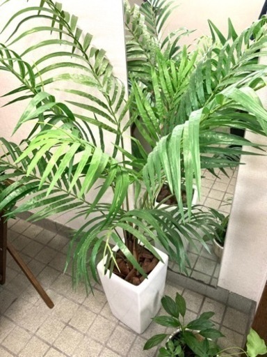 観葉植物(造花)140cm