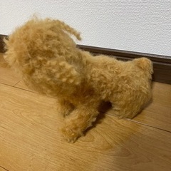 フェルトトイプードル新品の画像