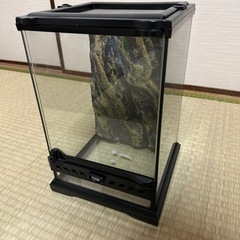 グラステラリウムナノ　爬虫類ケージ