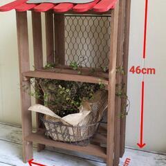 🌿ワイヤープランツのオウチ🌿観葉植物の画像