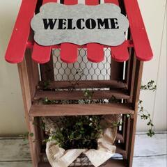 🌿ワイヤープランツのオウチ🌿観葉植物