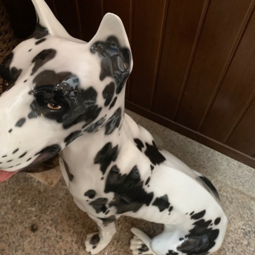 犬