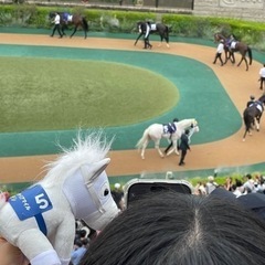 秋のG1レース♪競馬だよ〜 − 東京都