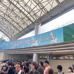 秋のG1レース♪競馬だよ〜