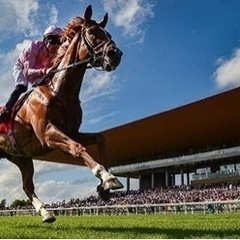 【10/7開催🌟】競馬オフ会メンバー募集中🏇