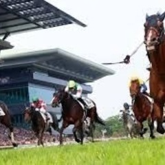 【10/7開催🌟】競馬オフ会メンバー募集中🏇 - 名古屋市
