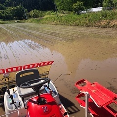 令和4年　宮城県産ひとめぼれ玄米30キロ