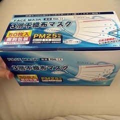 不織布マスク50枚×4箱の画像