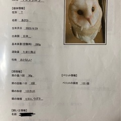 飼育フクロウの情報を集めています！