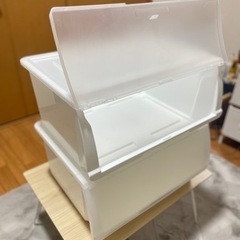 【ニトリ】Nフラッテ　レギュラー×2