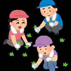 庭のお掃除ご用命ください。