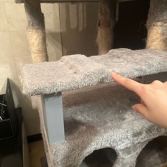 キャットタワー　グレー　2年使用の画像
