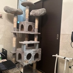 キャットタワー　グレー　2年使用の画像