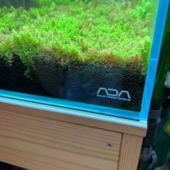 60センチ水槽セット　ADA ゼンスイ エーハイム　チヒロの画像