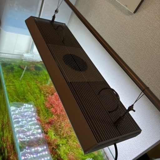 60センチ水槽セット　ADA ゼンスイ エーハイム　チヒロ