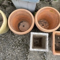 植木鉢　一個500円の画像