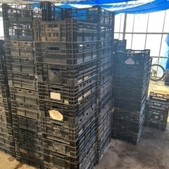 球根用コンテナ　野菜などに多用途に使えます。　