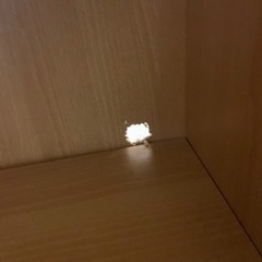 本棚　マガジンラック　収納の画像