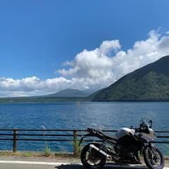 ヤマハ FAZER 800 - FZ8の画像