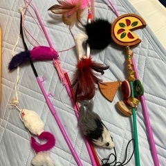 キャリー　猫のおもちゃ（中古）の画像