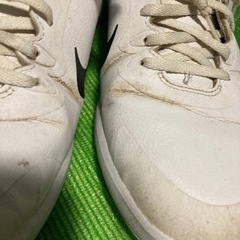 ゴルフ用シューズ　NIKE 使用感有　31cm 中古の画像