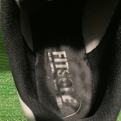 ゴルフ用シューズ　NIKE 使用感有　31cm 中古の画像