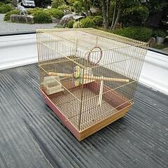 🐦鳥カゴ🐥 