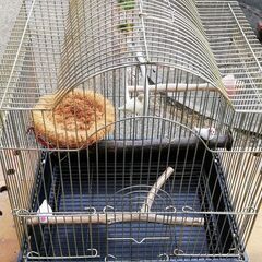 【お話中】鳥かご