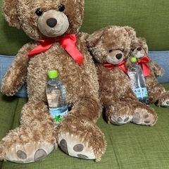【受付停止中
】テディベア　３体セットの画像