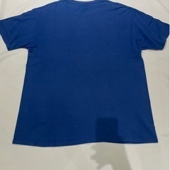 ⭐︎鑑定済み⭐︎ STUSSY ライオン シャネルロゴ Lサイズの画像