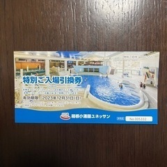 箱根小涌園ユネッサン　特別ご入場引換券4枚セットの画像