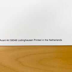 インコA.A.Gockel　Avant Art 59348Ludinghausen　Printed in the Netherlands超特大ポスター　専用額縁付き　展示品・アウトレットの画像