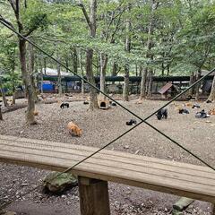 なんか楽しい事ないかなーって思う事ありますよね。