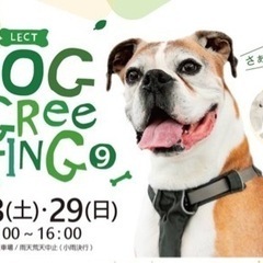 LECT DOG GReeTING
